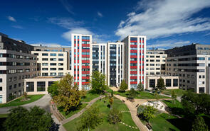  446 m2 Iroda - Madarász Irodapark